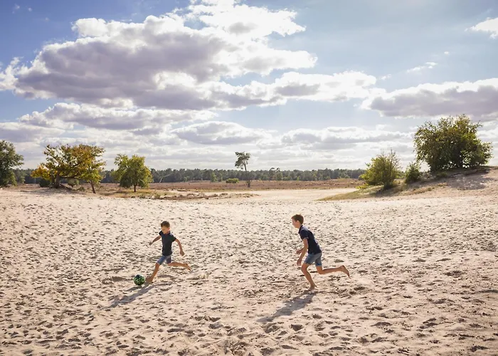 Marvilla Parks 营地